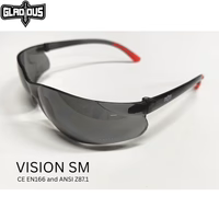Safety Glass, Gladious, Vision